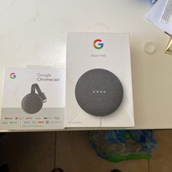 Nest Mini With Google Chromecast