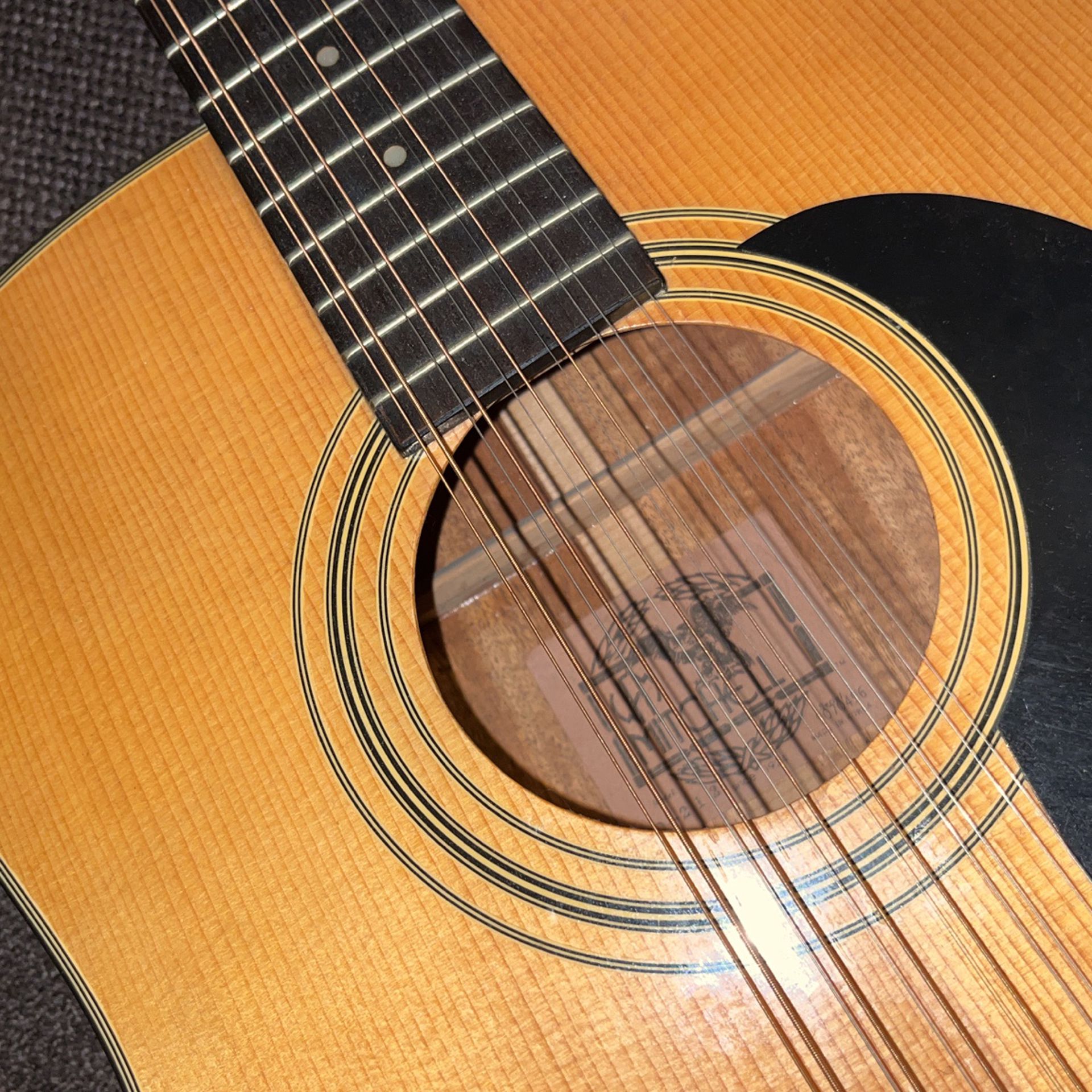 Mitchell Acoustic 12 String 