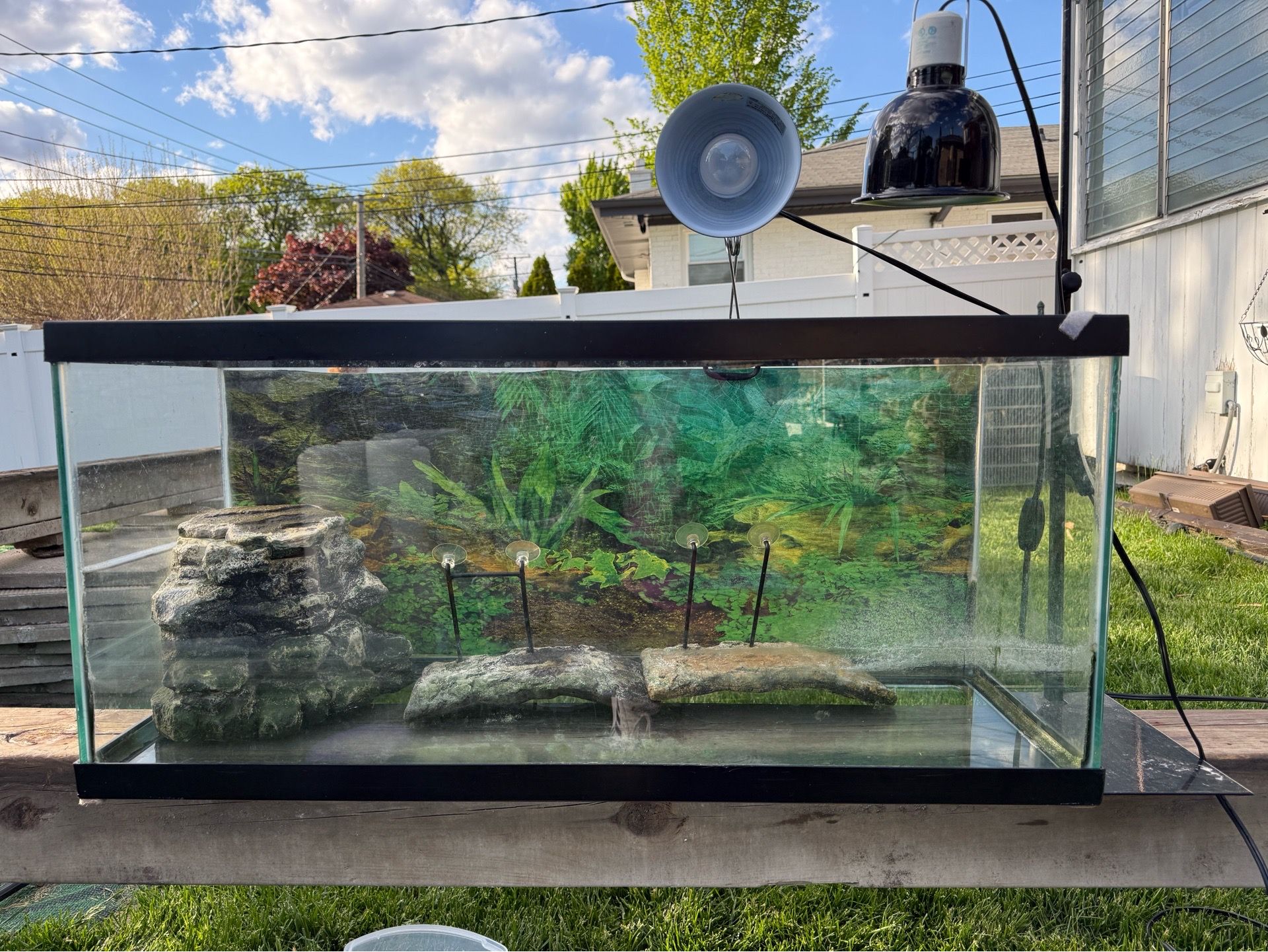 FREE Complete Turtle Setup – Tank, UVB Light, Heater & Accessories