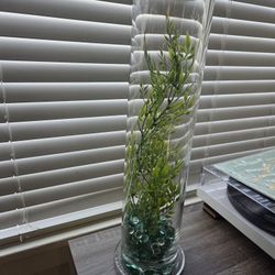 Fish Tank / Water Feature FREE