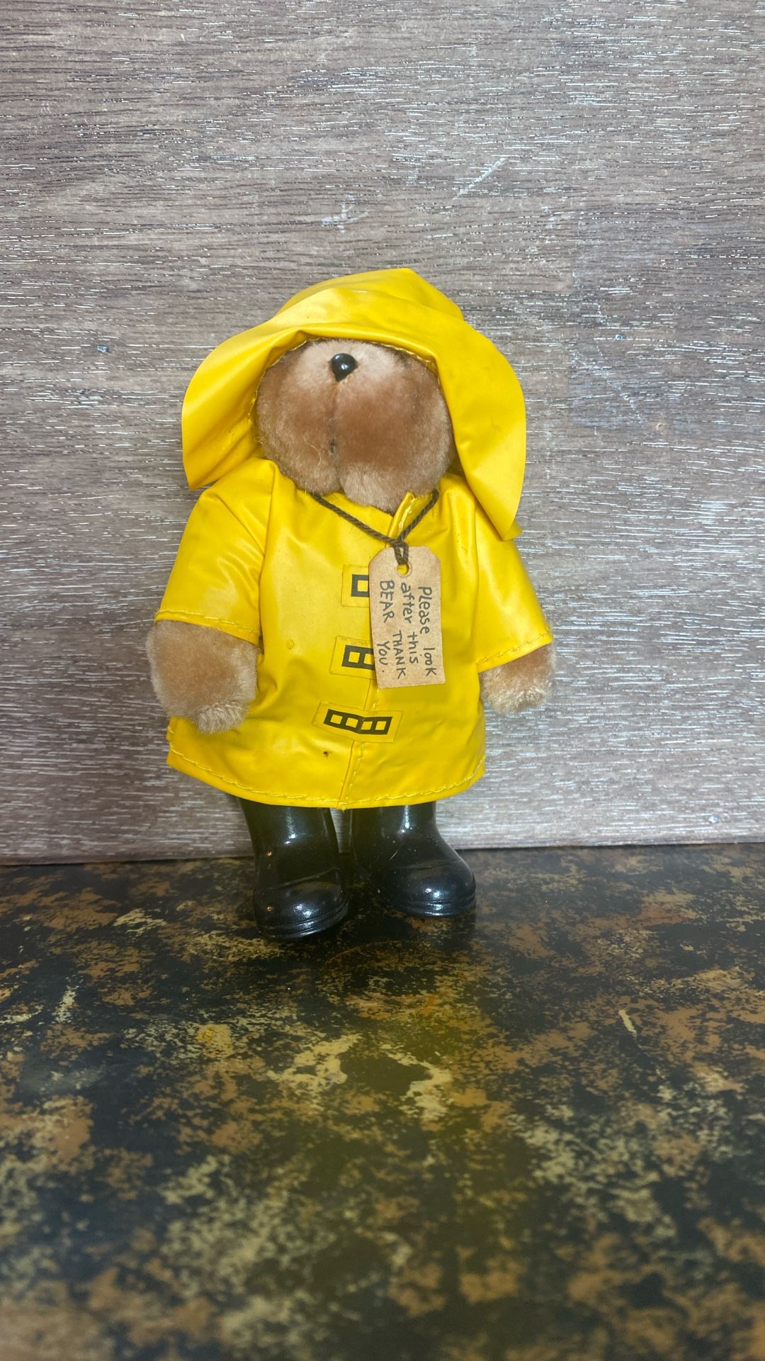 Tiny Paddington Bear