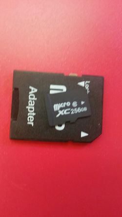256gb micro SD card