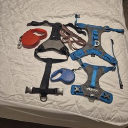 Dog Harnesses & Leashes