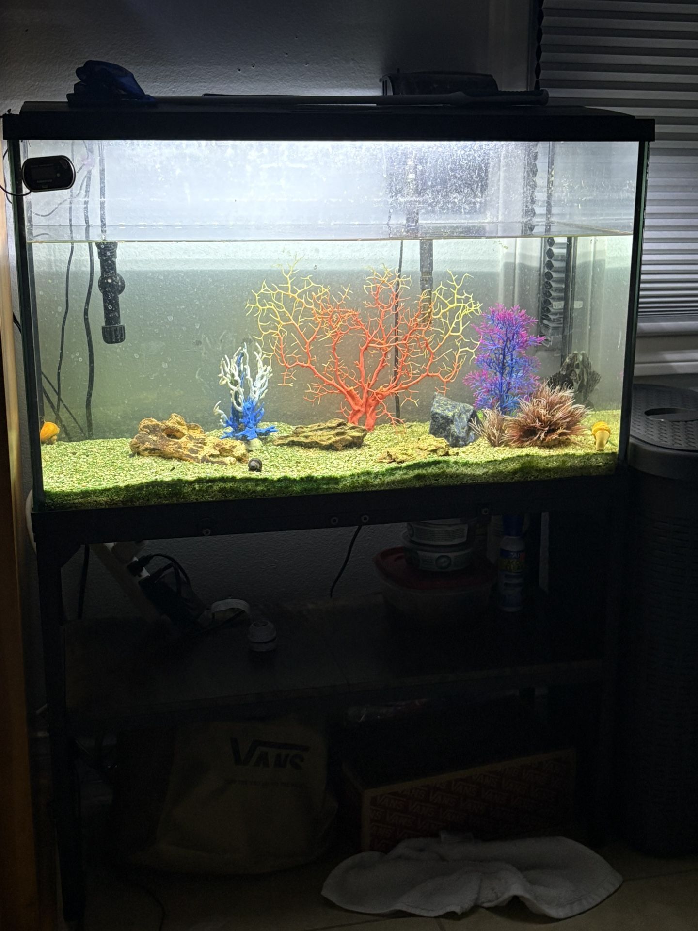 Full Aquarium Setup “NO FILTER ITS BROKEN”