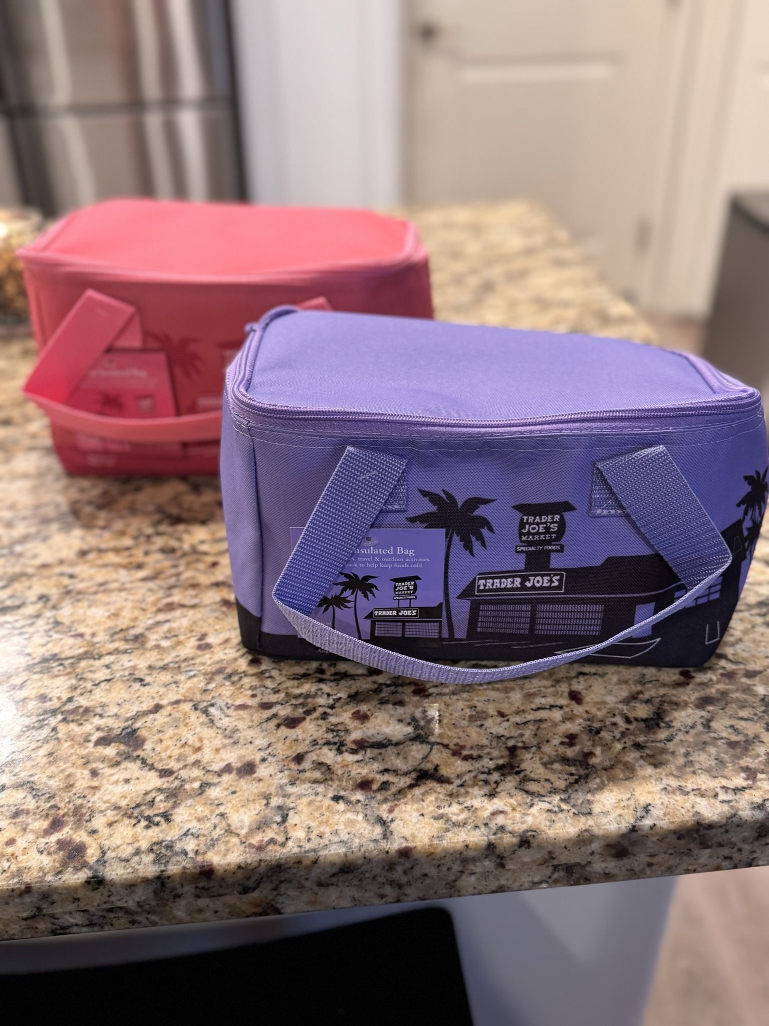 Trader Joe’s Small Individual Cooler Bag