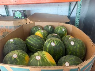 Sandia - watermelon