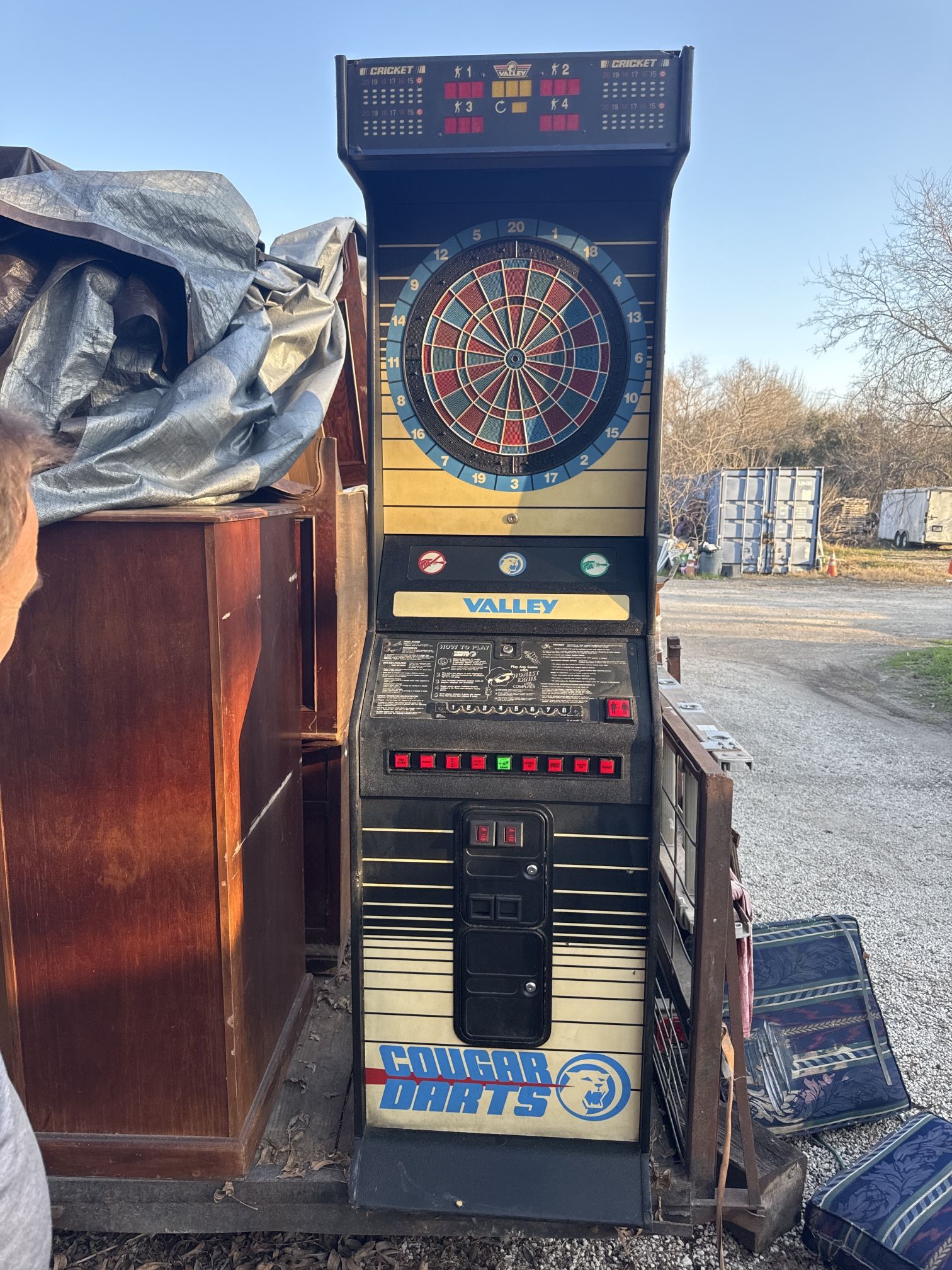 Valley /cougar Electronic Old School Dart Bard