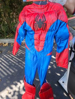 Spiderman Costume Halloween