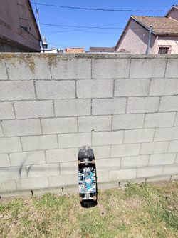 Skateboard