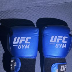 Boxing Gloves