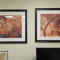 Set  of 2 Framed Art Prints With Glass