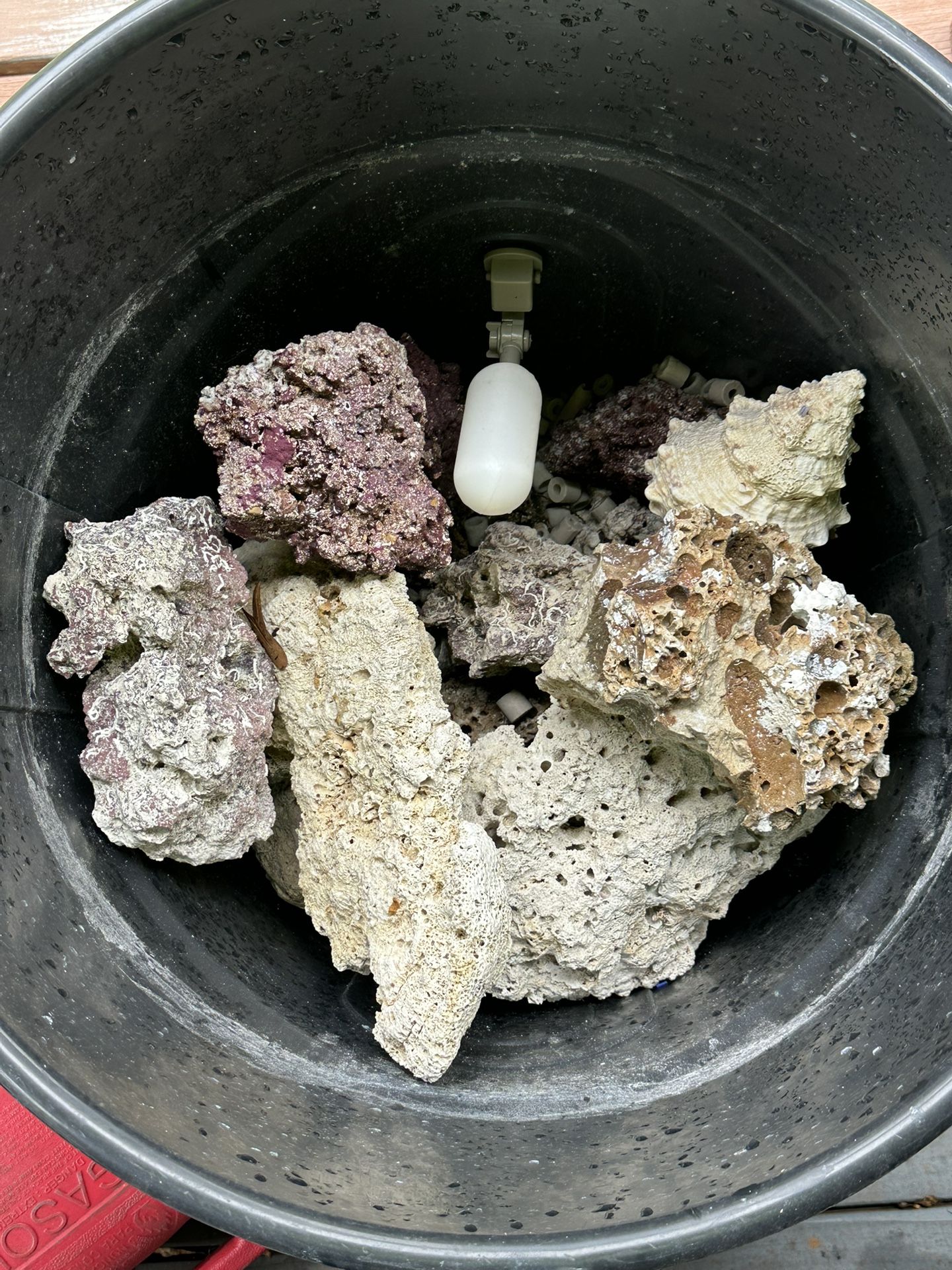 Live Rock For Reef Tanks 
