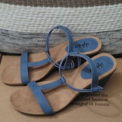 Woman's Small Wedge Heel