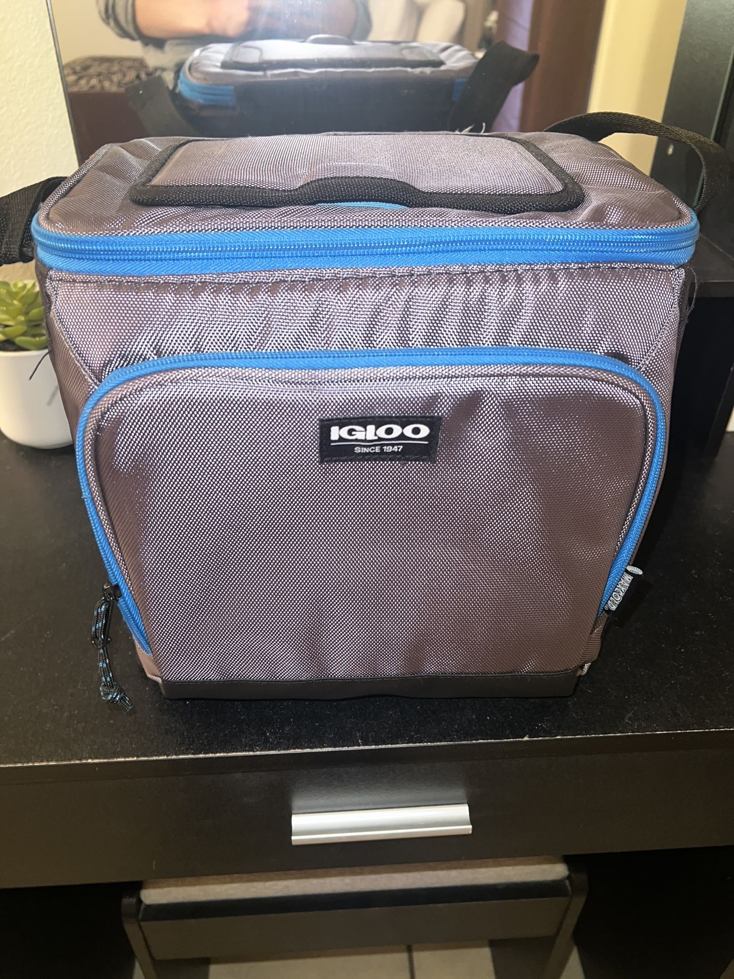 Igloo Soft Cooler