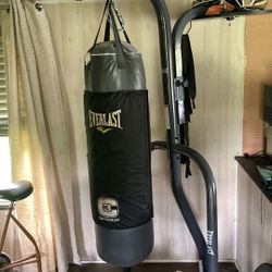Punching Bag