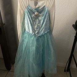 Elsa Dress Costume 