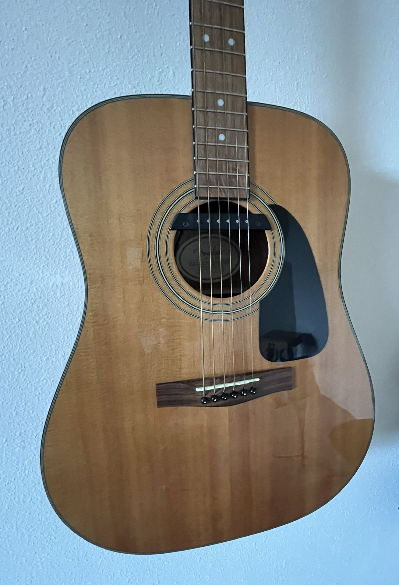 Fender Acoustic Guitar W/amp Pickup