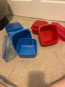 Plastic Berry Keeper Containers with Lids