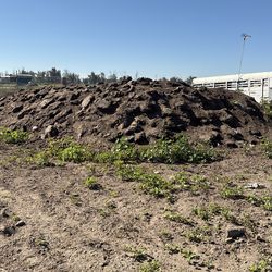 FREE cow manure (organic fertilizer)