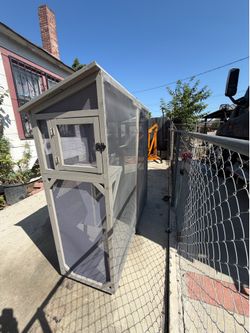 Catio