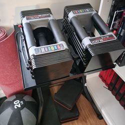 Powerblock and Stand