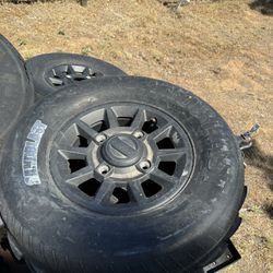 Polaris RZR Paddle Tires With Rims 