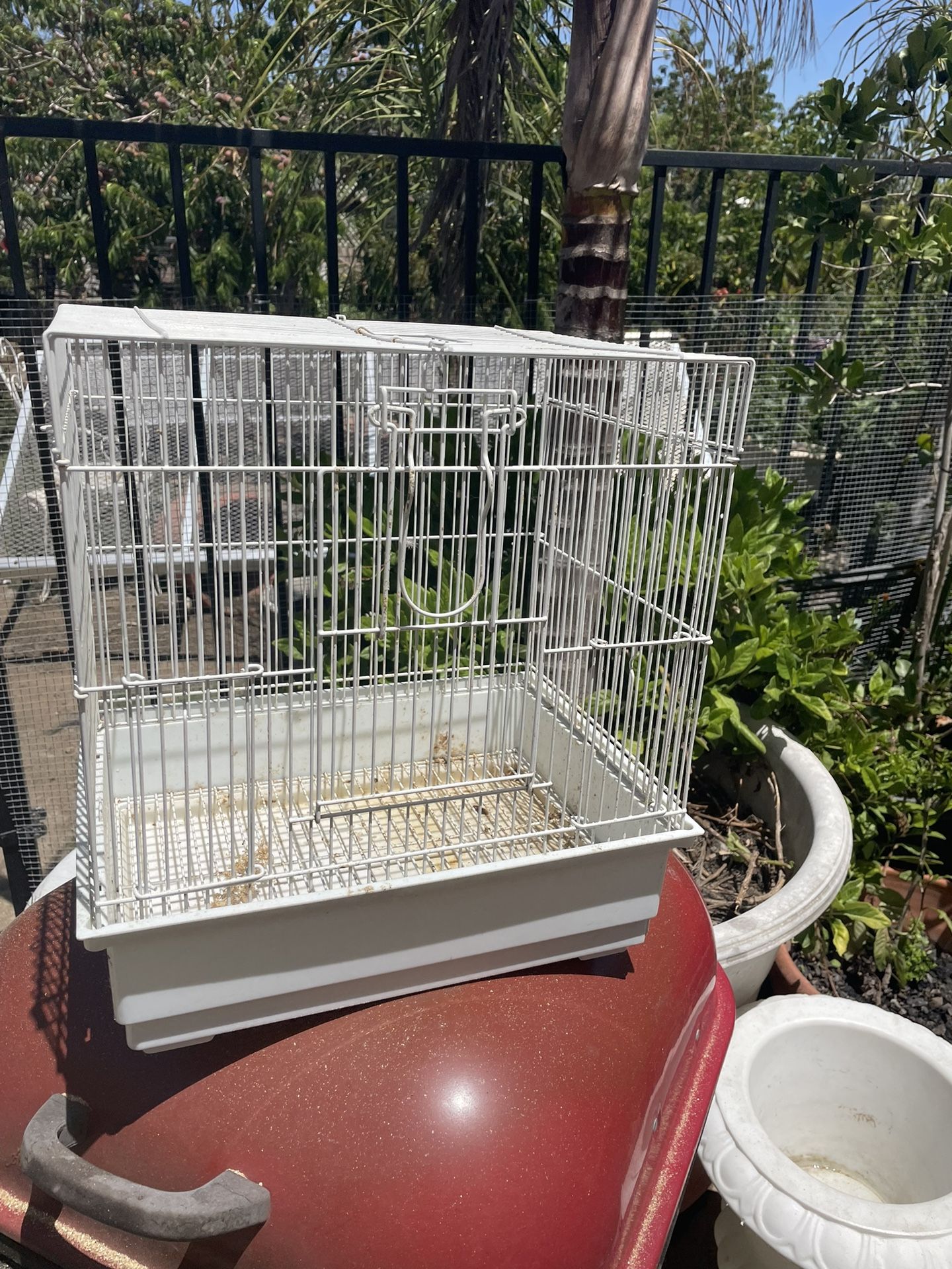 Bird Cage