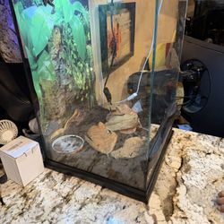 Frog/ Lizard Tank For Sale 