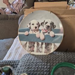 This Is A Collection Plate  Naptime Already.  1995