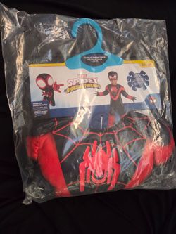 Spin costume  Spiderman