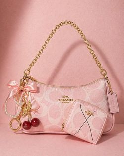 Coach Teri bag