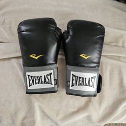 12  oz Everlast Boxing Gloves
