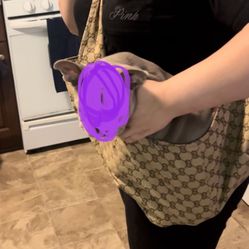 Puppy Carrier