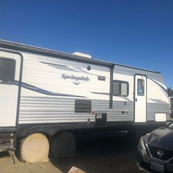 Springdale 2019