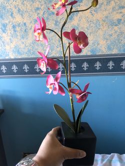 Silk purple orchid plant in black cube planter