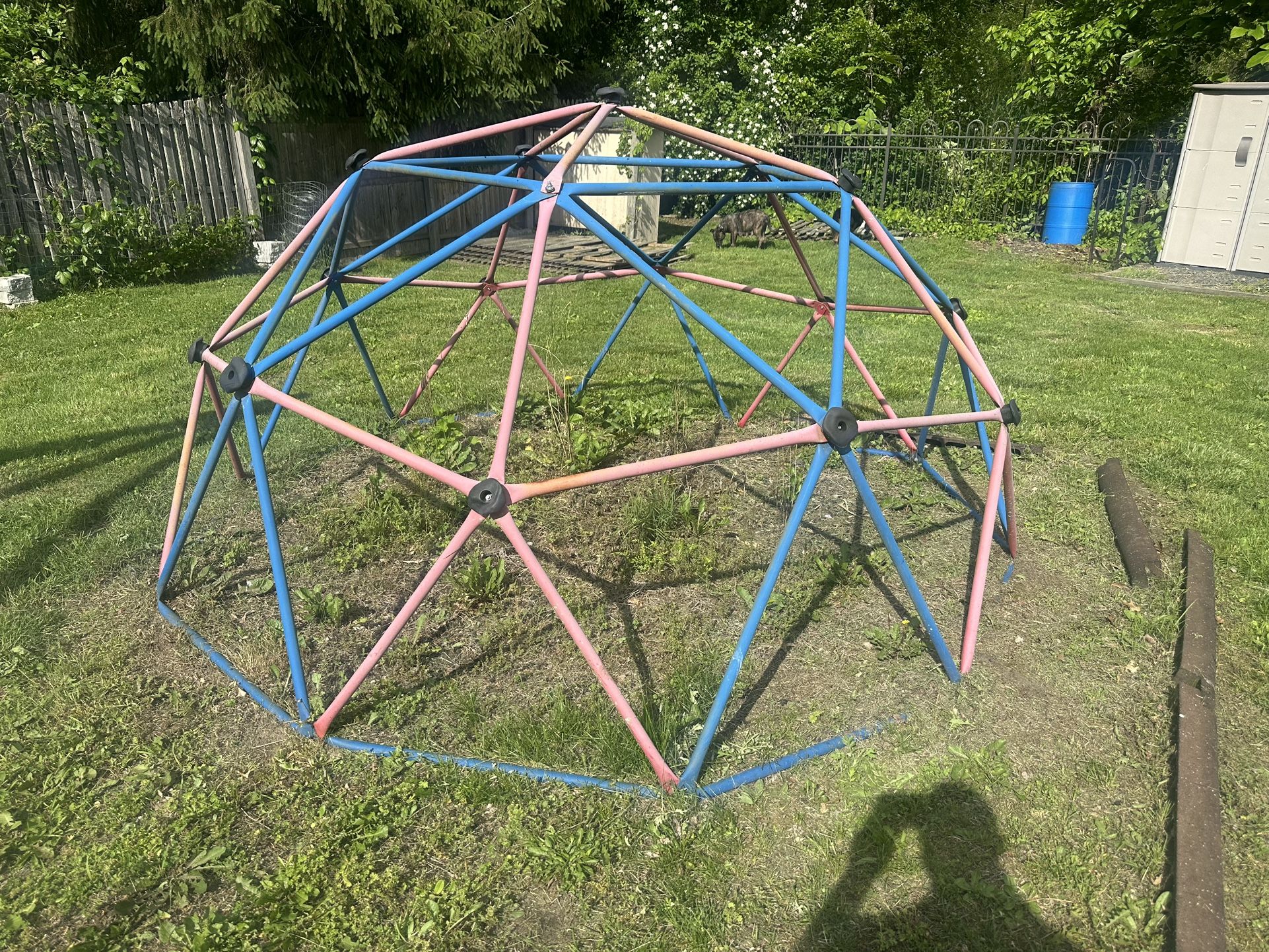 Geometric Climbing Dome