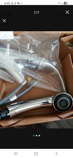 Integra kitchen faucet