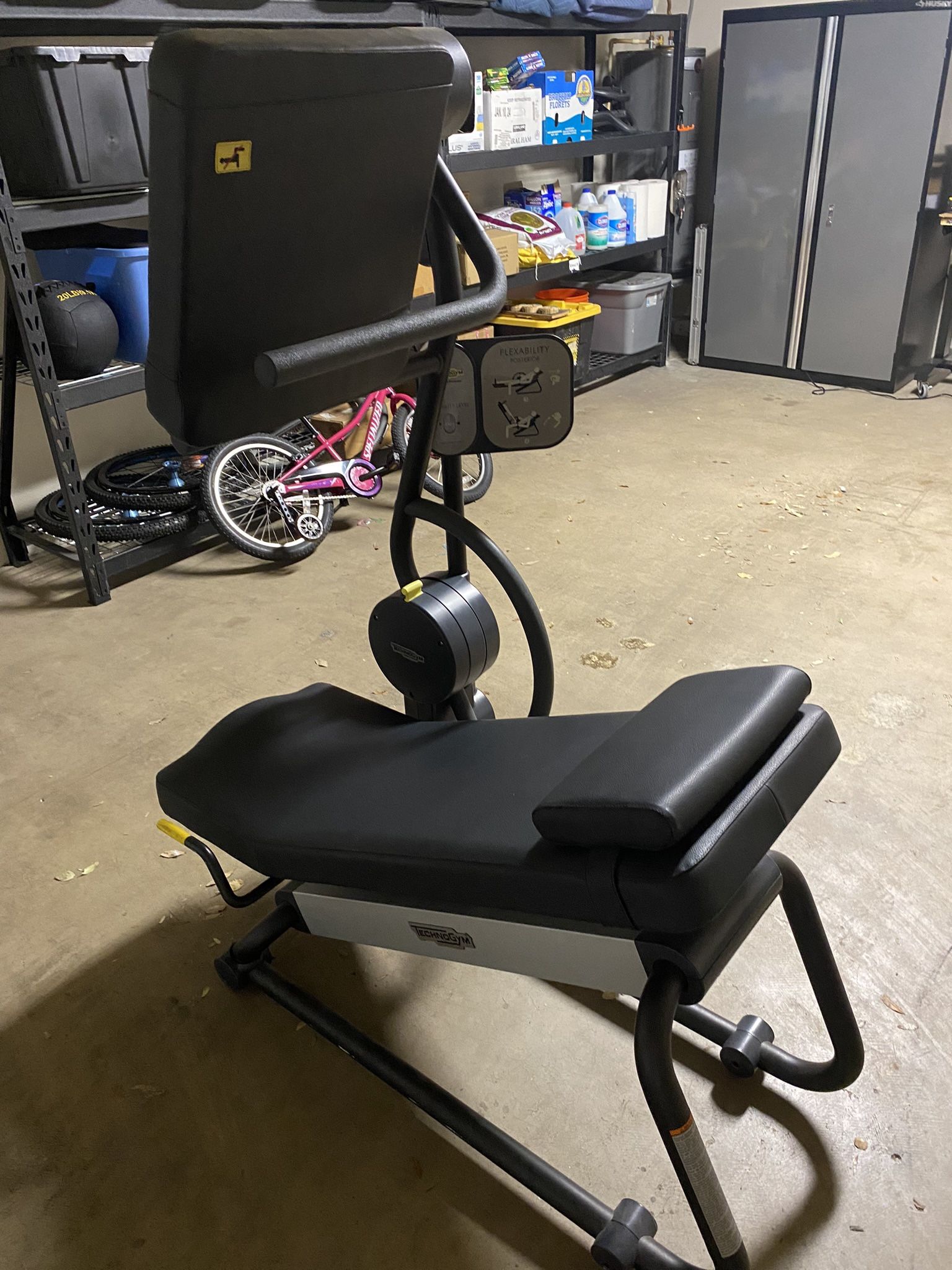 Technogym Flexibility Posterior
