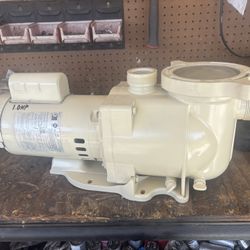 Swimming Pool Pump Parts 