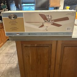 Hampton Bay Ceiling Fan