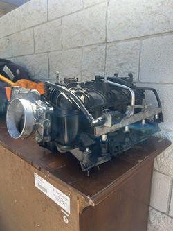 Tbss Intake