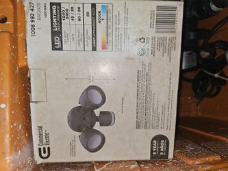 Commercial electric security light
