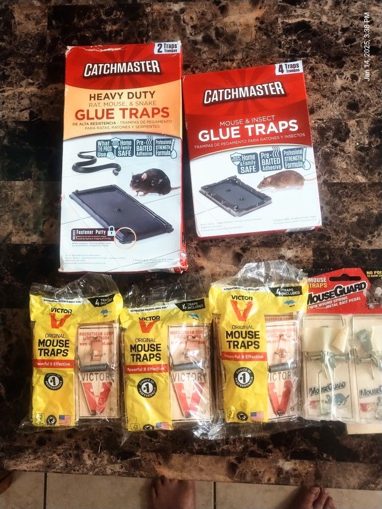 Mouse Traps And Glue Traps