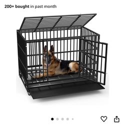 Dog Crate 