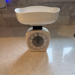 Taylor Kitchen Scale