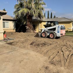 Bobcat Grading 