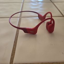 Shokz Open Run Headphones