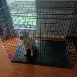 Large Dog Cage