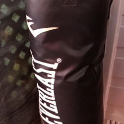 Punching  Bag