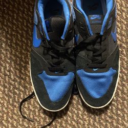 Nike Sb Alleyoop Size 9 Color Blue